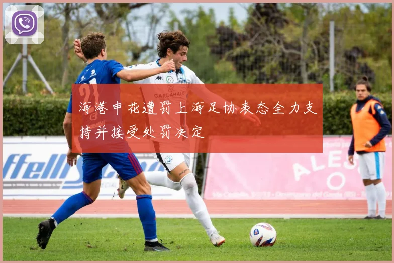海港申花遭罚上海足协表态全力支持并接受处罚决定
